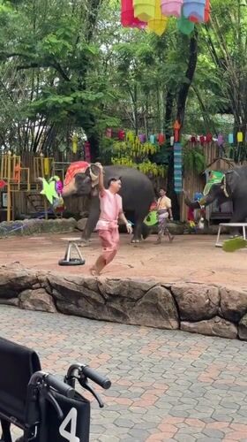 Decorated elephants perform for a crowd at Bangkok attraction