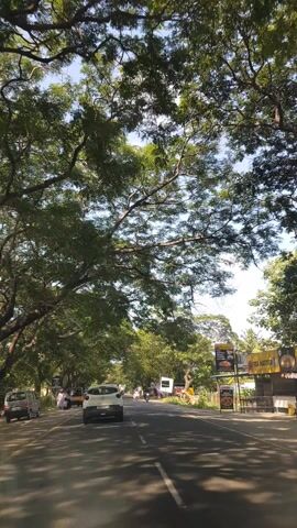 The video captures a scenic drive along a road lined with lush green trees, likely in Kalpakkam, India. The camera, presumably from inside a moving vehicle, pans across the vibrant foliage and the sky. Several vehicles, including cars, motorbikes, and what appears to be an auto-rickshaw, are visible on the road, suggesting a moderate level of traffic.

The scene is bathed in natural light, indicating it's daytime, likely late morning or early afternoon given the bright sunlight and clear sky with a few scattered clouds. The weather appears pleasant and sunny. The dense canopy of trees creates dappled shadows on the road, adding to the picturesque atmosphere.

There are various structures and signs visible along the roadside, hinting at a commercial or semi-urban area. One prominent sign, partially obscured by trees, displays images of food items, suggesting the presence of eateries or restaurants. Another sign is a white rectangular board. People can be seen on the sidewalk, some walking and others gathered near roadside stalls, possibly engaged in daily activities or shopping.

The overall mood is serene and tranquil, amplified by the natural beauty of the surroundings and the gentle movement of the vehicle. The greenery and the clear sky create a refreshing visual experience. The specific location cues and the presence of auto-rickshaws help place the scene in an Indian context. No discernible text beyond the food-related signage is clearly readable.