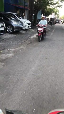 A man on a red scooter rides down a paved road. He is wearing a light blue shirt and white pants. To his left are parked cars, a sidewalk, and buildings. Trees and more buildings line the road on the right. The video appears to be shot from the perspective of another scooter following behind.