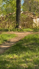Morning moments captured across Chaikovsky, Russia