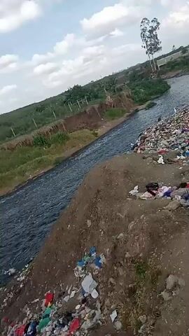 The video shows a river with trash on the banks, taken from an elevated perspective. The water is dark and flowing. The banks are covered with vegetation and trash.  There is a fence visible on the far bank. The sky is blue with some clouds.  A bird flies over the water.