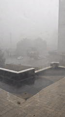 Heavy urban rainstorm, low visibility, midday downpour