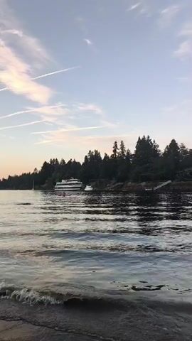 A drone's-eye view of a body of water with a treeline on the shore. A large white boat is anchored near the shore. The water has small waves. The sky is light blue with wispy white clouds. There is a beach in the foreground.