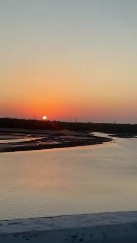 The video captures a serene sunset over a calm body of water, possibly a river or estuary. The sun, a bright orange orb, is low on the horizon, casting a warm glow across the sky which transitions from a pale yellow near the horizon to a soft blue at the top. The water reflects the colors of the sunset, creating shimmering hues of orange, pink, and purple on its surface.

Along the water's edge, there are exposed areas of mud or sand, suggesting a low tide. Several small, dark structures, possibly artificial markers or natural formations, rise from the water, spaced out in a line. They appear to be topped with some material, possibly vegetation or debris.

In the background, a dark, treeline or dense vegetation marks the edge of the land. A few faint, vertical lines, which could be power lines or distant structures, are visible against the horizon. The foreground is occupied by what appears to be the railing or edge of a bridge or elevated walkway, rendered in a blurred, neutral tone, indicating the vantage point of the camera. The overall atmosphere is peaceful and tranquil, dominated by the natural beauty of the sunset.