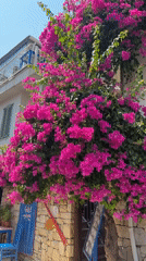 Marmaris street scenes: markets, marina, murals, and blooms