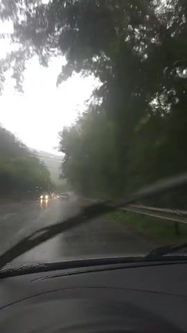 The video captures a first-person perspective from inside a vehicle driving on a wet road during what appears to be heavy rain. The windshield wipers are actively clearing the view, indicating continuous rainfall. The road is lined with lush green trees and foliage on both sides. In the distance, several vehicles can be seen driving in the same direction, their headlights illuminated due to the poor visibility. The sky is overcast and appears to be a dull gray, further emphasizing the rainy weather conditions. The overall scene depicts a drive through a scenic, tree-lined route experiencing a downpour.