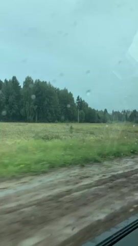 The video shows a view from inside a vehicle looking out the window during rainfall. Droplets of rain are visible on the windowpane, distorting the view of the outside landscape. The landscape consists of a muddy, wet dirt road in the foreground and a field of green grass and some plants in the middle ground. In the background, there is a dense forest with various types of trees. The sky is overcast and appears grey, indicating a cloudy or stormy day. The camera seems to be moving, possibly indicating the vehicle is in motion. The interior of the vehicle is partially visible, showing a dark-colored door panel with red stitching.