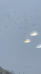 Birds fly over winter cityscape in Surgut, Russia