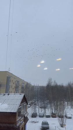 Birds fly over winter cityscape in Surgut, Russia
