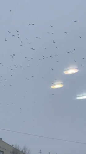 Birds fly over winter cityscape in Surgut, Russia