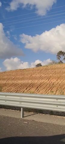 The video shows a view from a vehicle moving along a road, indicated by the presence of a metal guardrail in the foreground. The scenery outside consists of a grassy field dotted with trees and the occasional utility tower. The sky is a bright blue with scattered puffy white clouds. The field is partially brown, suggesting a landscape that may be dry in parts, but also has green patches indicating areas with more vegetation.  Overhead, there are power lines visible against the sky. The scene appears to be taken during daylight hours.