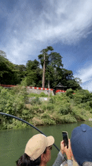 Hozugawa River's green waters and forested banks, Kameoka
