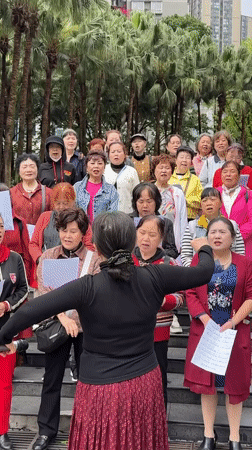 Elderly choir performs outdoor concert in Jiulongpo park