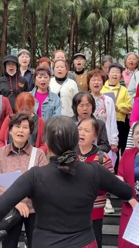 Elderly choir performs outdoor concert in Jiulongpo park