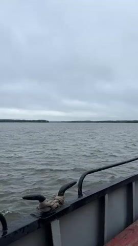 The video shows a view from a boat traveling on a calm, grey body of water. The sky is overcast, suggesting a cloudy or possibly rainy day. The water has a rippling surface, indicating gentle movement.

In the foreground, the edge of the boat is visible, with black railings and a cleat secured with a beige rope or tie. The cleat is made of dark metal and has a traditional bollard shape.

In the distance, a long, tree-lined shoreline stretches across the horizon. The trees appear dense, creating a dark green band against the grey sky. There are no visible people or prominent man-made structures on the shoreline, suggesting a natural or undeveloped area.

The overall scene is serene and somewhat subdued due to the cloudy weather. The camera is positioned on the boat, looking outwards, giving a sense of movement as the boat travels. There is no visible text in the video. The location context of Kozmodemyansk, Russia, suggests this could be a view of the Volga River or a similar large body of water in the region. The time of day is not definitively clear due to the overcast conditions, but it appears to be daytime.