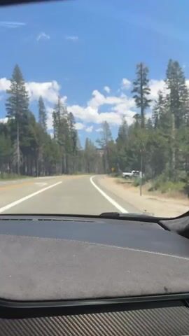This video is a first-person view from inside a vehicle driving on a paved road through a forest. The road is a two-lane highway with a yellow line on the left and a white line on the right. Tall coniferous trees line both sides of the road. The sky is blue with scattered white clouds. There is a slight uphill incline on the road. In the distance, several vehicles can be seen. The dashboard of the vehicle is visible in the foreground.