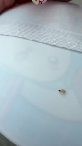 The video shows a close-up of a small, pale worm with a dark head on a white surface. A finger with a decorated fingernail, featuring a cartoonish eye design, is seen approaching the worm. The worm is then poked or nudged by the finger, causing it to move slightly. The environment appears to be indoors, with the white surface possibly being a plate or a table. The lighting is bright, suggesting daylight or good artificial lighting.