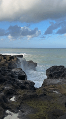 Man watches dogs on black sand beach in Mengwi