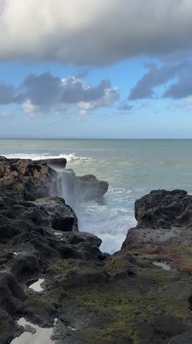 Man watches dogs on black sand beach in Mengwi
