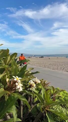 A person rides a bicycle on a paved path next to a beach. The bicycle is white with a red basket. The person is wearing an orange shirt and a baseball cap. In the foreground, there are green leaves and white flowers. The sky is blue with white clouds. The beach has sand and several people and umbrellas.