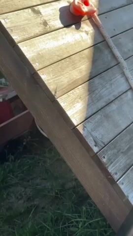 The video shows a close-up view of a wooden surface, likely a deck or a ramp. The wood is weathered and shows visible grain and screws. A rope, possibly part of a play structure, is visible in the upper right corner. A shadow of what appears to be a stick insect is cast on the wooden surface. The lighting suggests it is daytime with sunlight casting shadows. The background is out of focus but appears to be grass and possibly some gardening tools or containers.