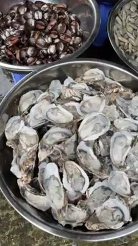 The video shows three metal bowls filled with various seafood on a blue plastic table. The closest bowl contains opened oysters with visible meat and bits of ice.  A bowl to the upper right is filled with small, elongated shellfish, densely packed. The bowl in the upper left contains a dark shellfish, rounder and smaller than the oysters. A fourth bowl, only partially visible, sits to the right of the oysters and appears to contain a white solid. The background is blurred, suggesting an outdoor setting.