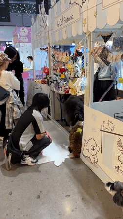 Early morning cosplay gathering documented across Liangjiang commercial districts