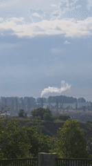Industrial operations and wildlife observed in Lhokseumawe, Indonesia