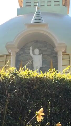 A white statue of a figure, possibly a child, stands within an arched alcove. The statue faces forward and has its right arm raised, with the index finger pointing upwards. The alcove is set into a large, dome-shaped structure with decorative columns on either side. Behind the statue, a wall covered in a textured, stone-like material is visible. In the foreground, a dense hedge of green foliage partially obscures the view of the statue and the structure. A few delicate yellow flowers are scattered amongst the hedge. The overall lighting suggests an outdoor setting with bright sunlight, creating some lens flare and glare on the dome. The background shows hints of a building with a light-colored, layered facade.
