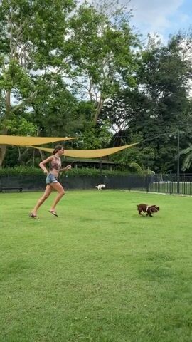 A woman runs across a lush green lawn, a brown dog with a harness running alongside her. The woman is wearing a crop top and shorts. In the background, there are trees, yellow awnings, a fence, and two other dogs playing on the grass. The sky is cloudy. The video is approximately 4 seconds long and appears to be taken from a low angle.