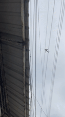 Aircraft and umbrella-shielded cyclists observed in Davao City