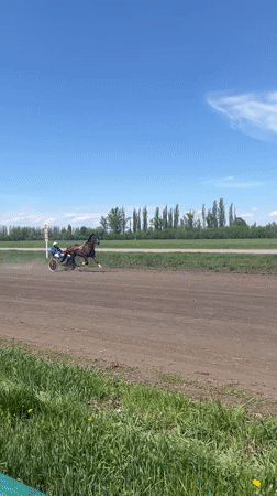 Harness race held on dirt track in Sloboda, Russia