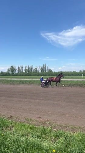 Harness race held on dirt track in Sloboda, Russia