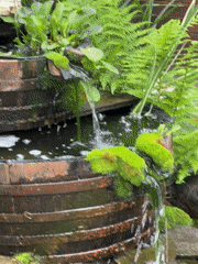Garden tour captures koi pond and barrel fountain in Berkovitsa