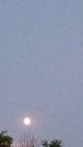 This media file shows a full moon rising in a pale, hazy sky. Silhouettes of trees are visible in the foreground, suggesting an outdoor scene. The time of day appears to be dusk or early evening, as the moon is low in the sky and the sky is still light. The weather seems calm, with no indication of wind or precipitation. The location context provided is Gorkaya-Balka, Russia, which helps to place the scene geographically. There are no people, visible text, or specific objects of note beyond the natural elements of the moon and trees. The overall mood is serene and peaceful.