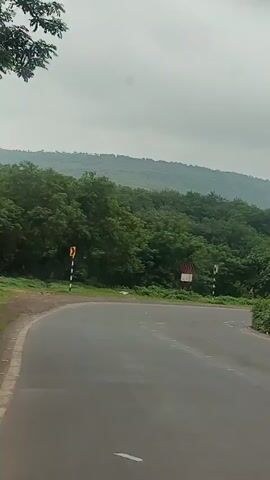 A paved road curves to the left, with lush green trees and rolling hills in the background under a cloudy sky. Road signs are visible on the side of the road, including a yellow curve warning sign and a sign with red and white chevrons. The scene appears to be a rural or natural landscape.