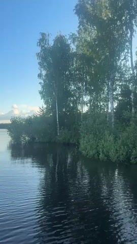 The video shows a natural scene with a body of water in the foreground and trees along the shoreline in the background. The water is dark and reflects the trees and the sky. The trees are a mix of deciduous trees, possibly birch, with white bark and green leaves. The sky is blue with some clouds. The overall impression is one of a calm and serene natural environment.