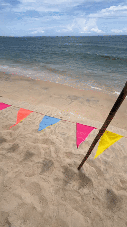 Beachside flags and resort vibes at Mũi Né
