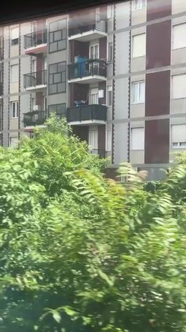The video captures a moving perspective, likely from inside a vehicle, showcasing a mix of urban and natural scenery under a clear blue sky. The first few seconds reveal the side of a multi-story building with a distinctive architectural style, featuring alternating bands of light gray and dark maroon or brown. This building has multiple balconies with black railings. Lush green foliage, appearing as dense bushes and trees, dominates the foreground, obscuring much of the lower portion of the building. As the view progresses, the building recedes, and more vegetation comes into focus. The camera then pans past more trees and bushes, revealing glimpses of other structures, including houses with green roofs. Towards the end of the clip, a different, more industrial-looking building appears with large, faded graffiti on its side. The overall impression is of a journey through an area where urban development is intertwined with abundant greenery.