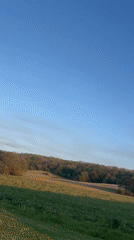 Evening landscape footage captured in South Kesteven at sunset