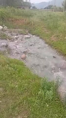 A slow-motion video shows a shallow stream with a rocky bottom. The water is cloudy and appears to have some debris floating in it. The banks of the stream are covered in green grass and some wild plants. In the background, there are trees and a hill, and the sky is overcast. There are no people or animals visible in the video.