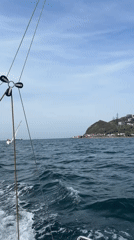 Sailboats navigate choppy waters off Vladivostok coast