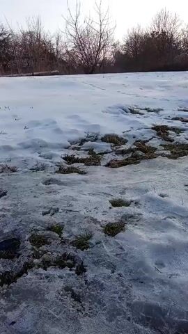The video shows a partially snow-covered field with patches of grass and bare trees in the background. The sky is overcast. The camera slowly tilts upward to show more of the sky. There are no people or animals visible.