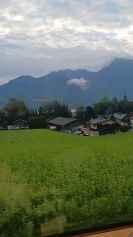The camera films from inside a moving train as it passes by a countryside landscape. A field of sunflowers occupies the foreground, with a cluster of houses visible behind it. In the background, mountain peaks reach into the sky, partially obscured by clouds. The sky is overcast with a mix of white and grey clouds.