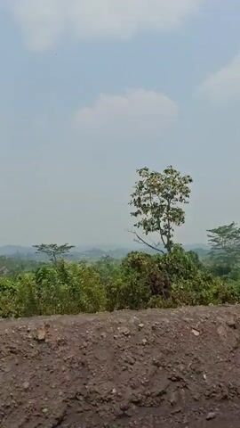 The video pans across a dusty, unpaved road bordered by lush green vegetation and trees. The sky is hazy with some light clouds. In the foreground, a rough, rocky embankment is visible. A tall, thin pole with red and white markings stands on the right side of the road. Further down the road, the terrain appears hilly and continues through dense foliage. The perspective suggests the video is being recorded from inside a moving vehicle.
