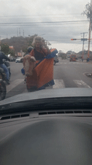 Woman crosses Valencia street carrying horse stuffed animal