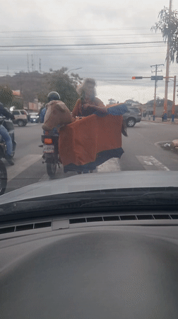 Woman crosses Valencia street carrying horse stuffed animal