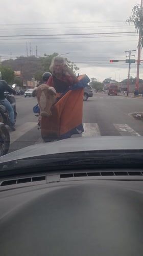 Woman crosses Valencia street carrying horse stuffed animal