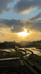Golden sunset illuminates rice terraces in North Kuta, Indonesia