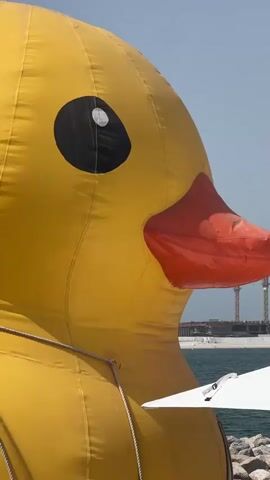 The video shows a close-up of a giant inflatable yellow duck with an orange beak and a black eye against a bright blue sky. In the background, there is a body of water, a rocky shore, and a white beach umbrella. Further in the background, there is a construction site with several cranes and a tall skyscraper under construction. The video pans slowly to the right, focusing on the construction site.